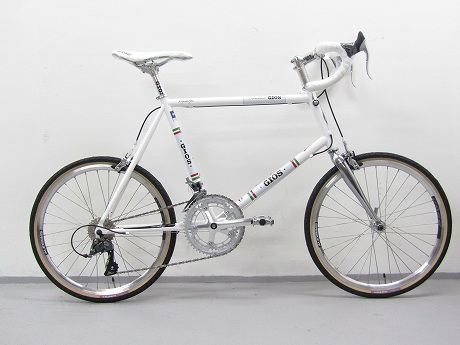 gios antico